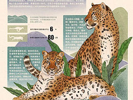 东北虎豹国家公园信息可视化