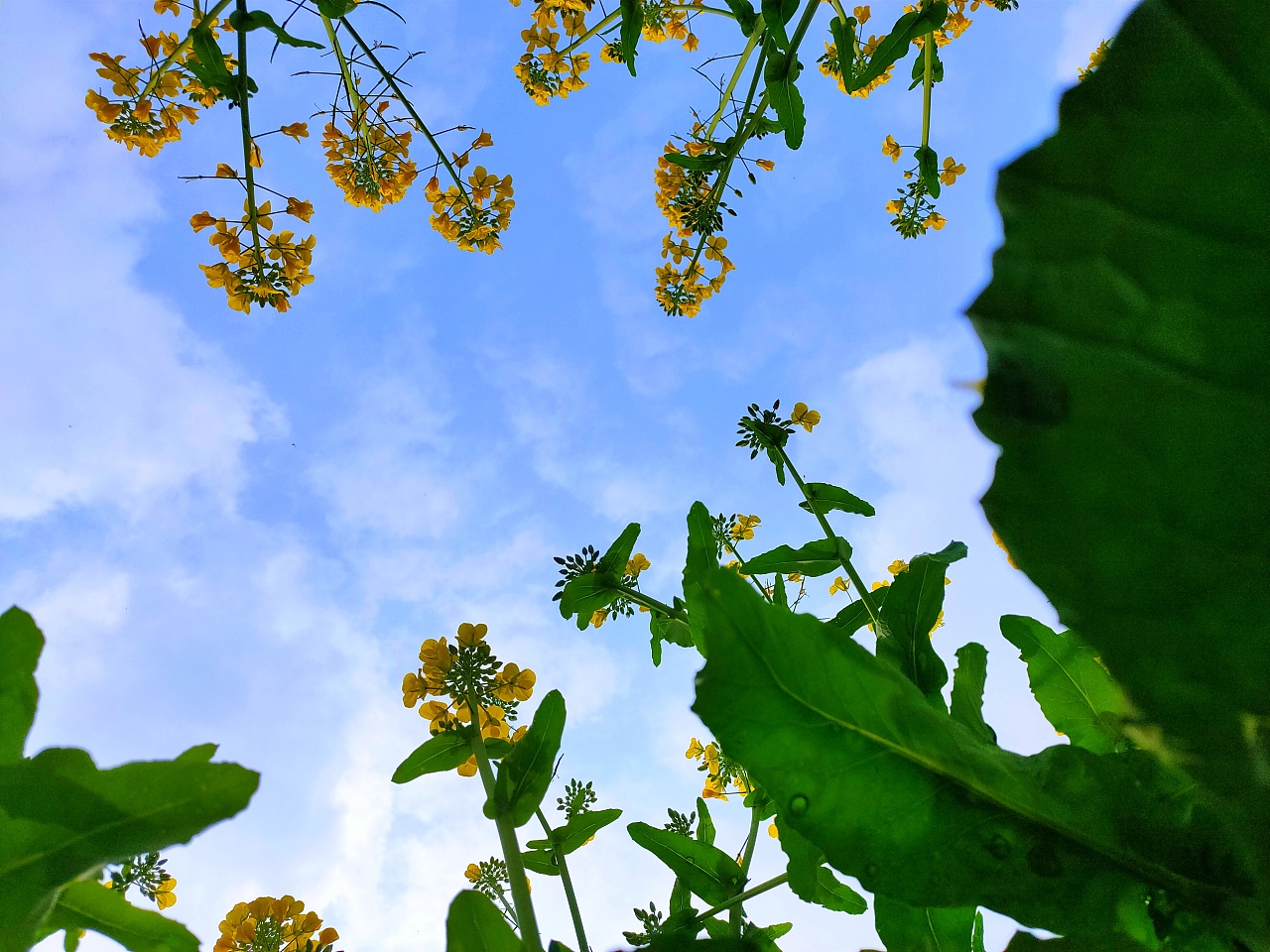 春回大地万物复苏