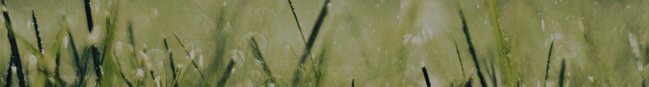 岁月如歌lyj的个人主页（封面预览） - 主页封面设置 - 站酷设计师岁月如歌lyj原创素材 - 站酷ZCOOL