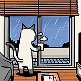 胖胖胖胖胖胖胖天的头像