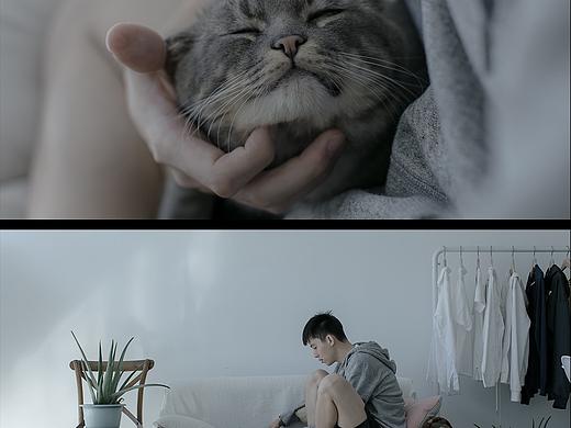 猫与男孩