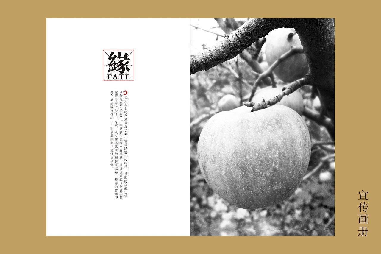 阿克苏苹果—第一道霜