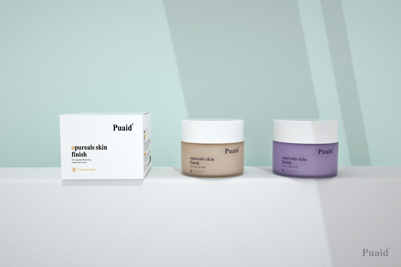 至“臻”至美 —— Puaid