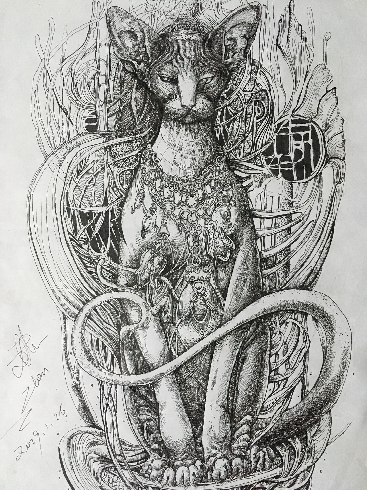 梦中的斯芬克斯猫