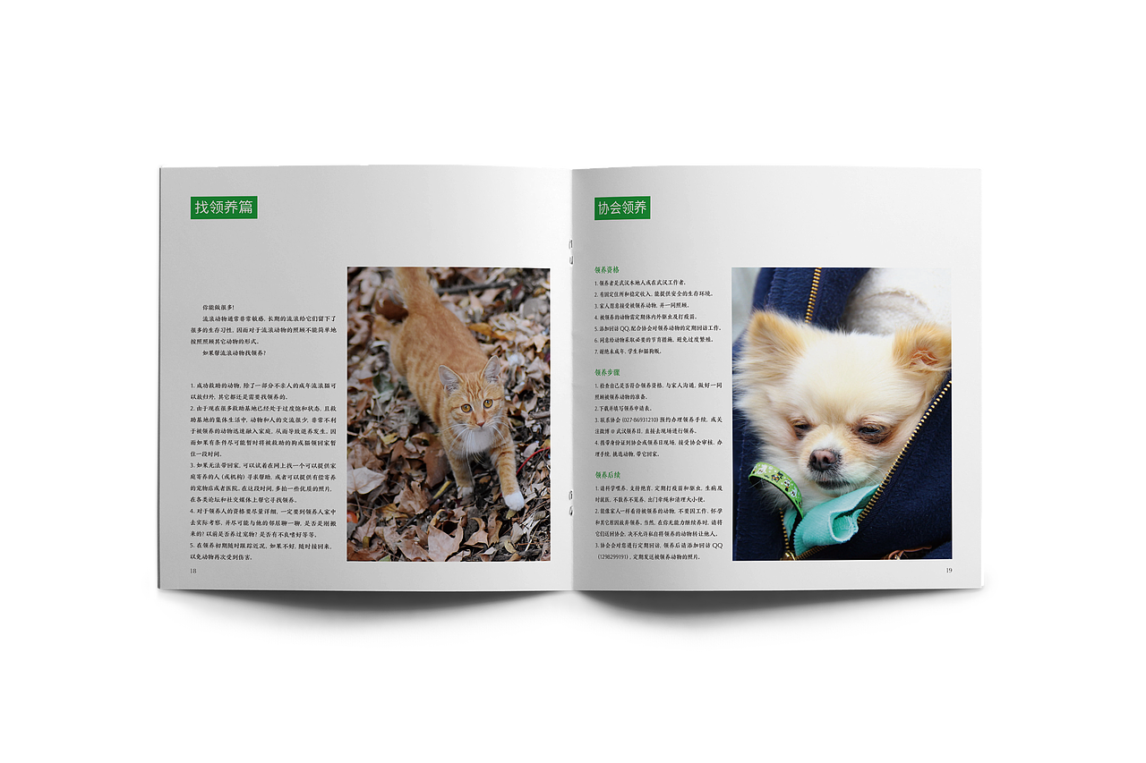 流浪动物救助手册 Rescue Manual for Stray Animals