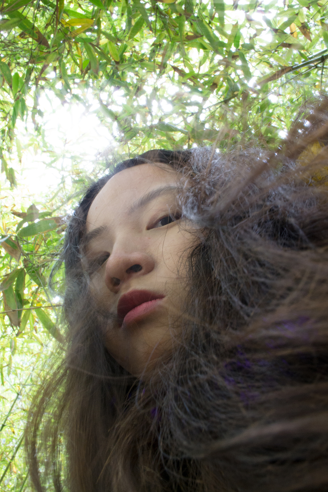 我与地球共同生命