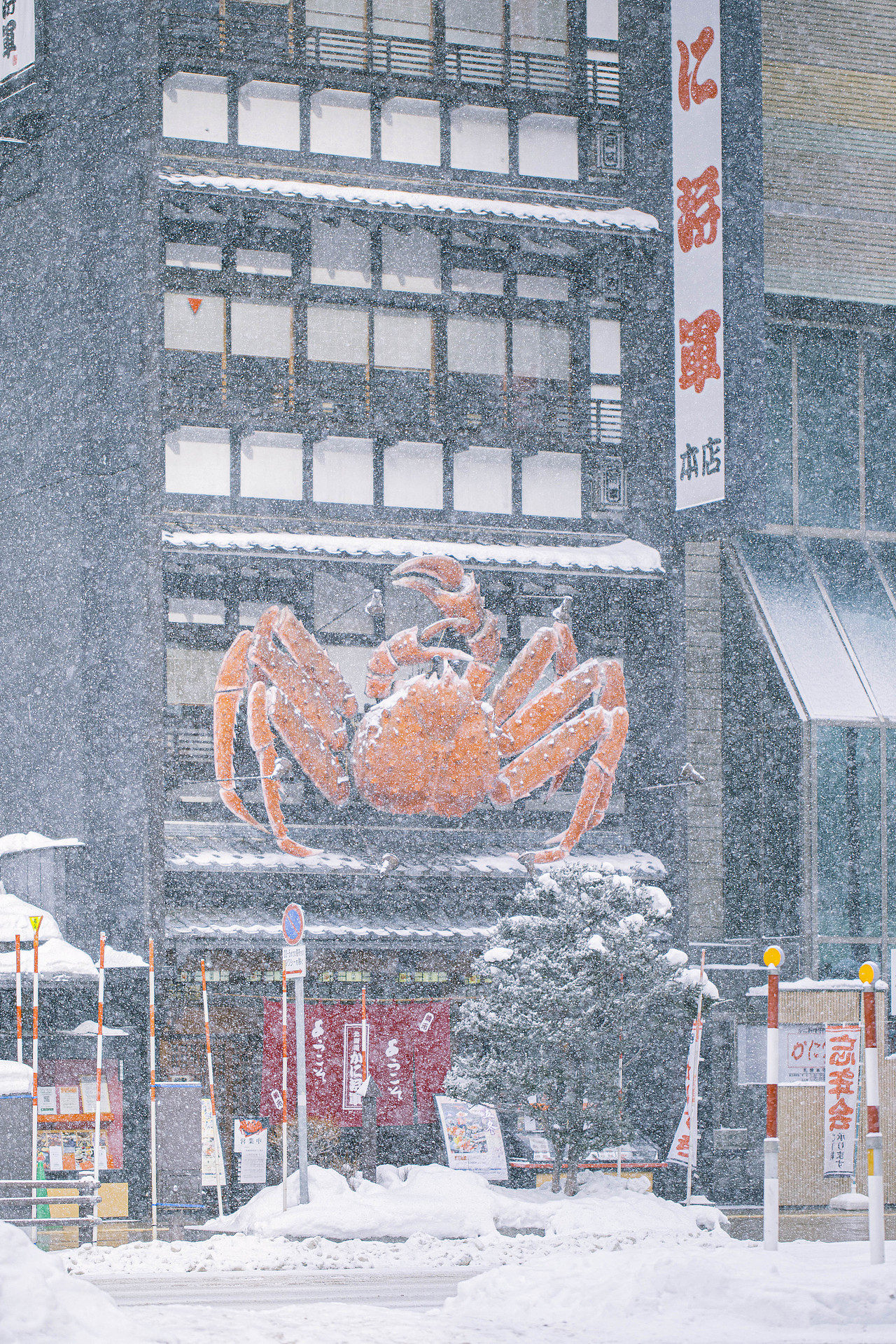 冬日来信-小樽日记