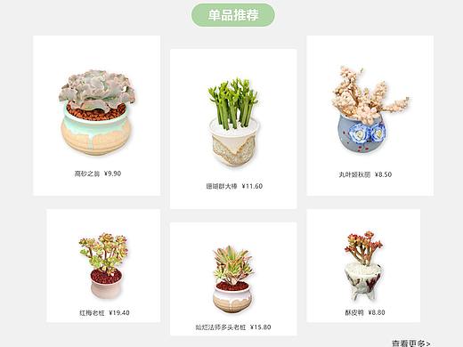 多肉电商网站首页