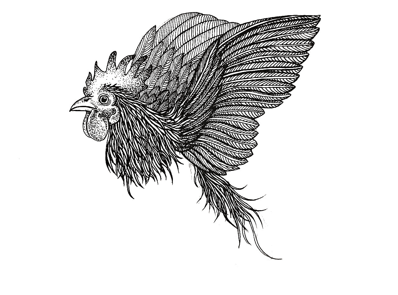 站斗鸡（图ZNzExMTc0ODA=） - 创作习作 - 站酷设计师葆光设计原创素材 - 站酷ZCOOL