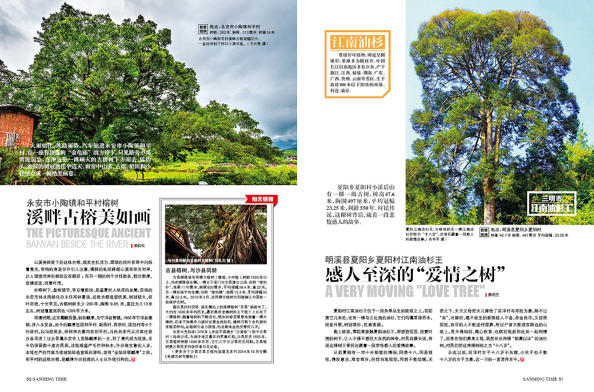 《时代三明》杂志-专题·三明的树-封面:李家乡鲜水塘