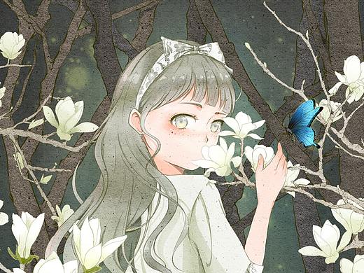 二十四番花信风—木兰