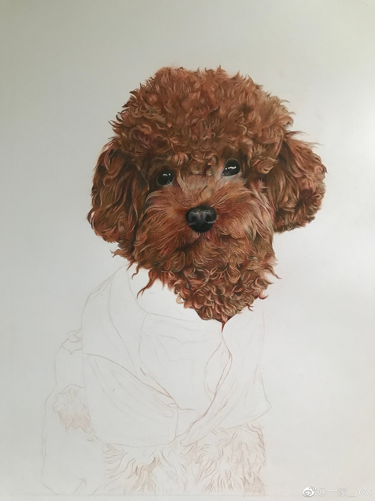 泰迪（图ZMTQxMDczMTgw） - 绘画 - 站酷设计师一蒙原创素材 - 站酷ZCOOL