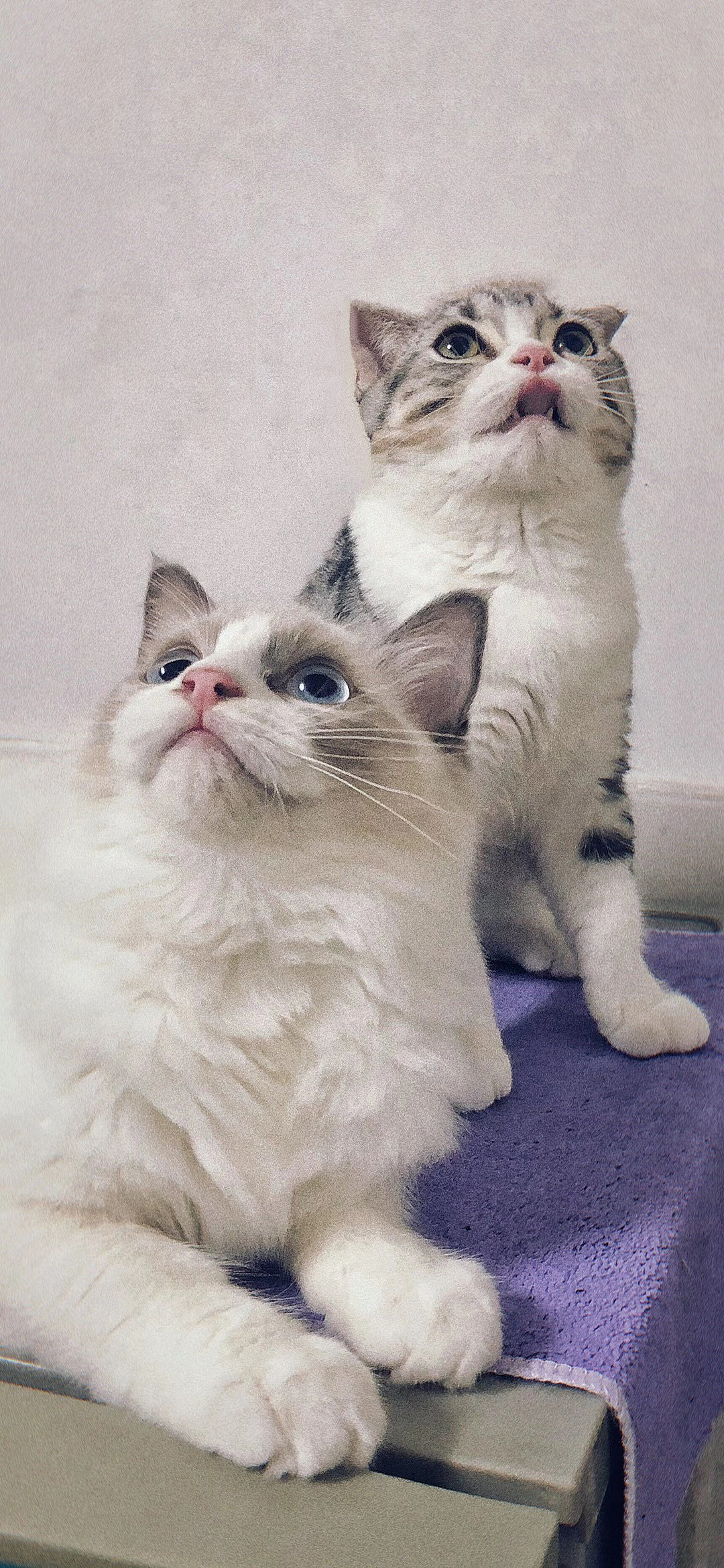 陈可乐陈奶茶的日常可爱（图ZMjM0NTY3Mzg4） - 人文/纪实摄影 - 站酷设计师陈小漫原创素材 - 站酷ZCOOL