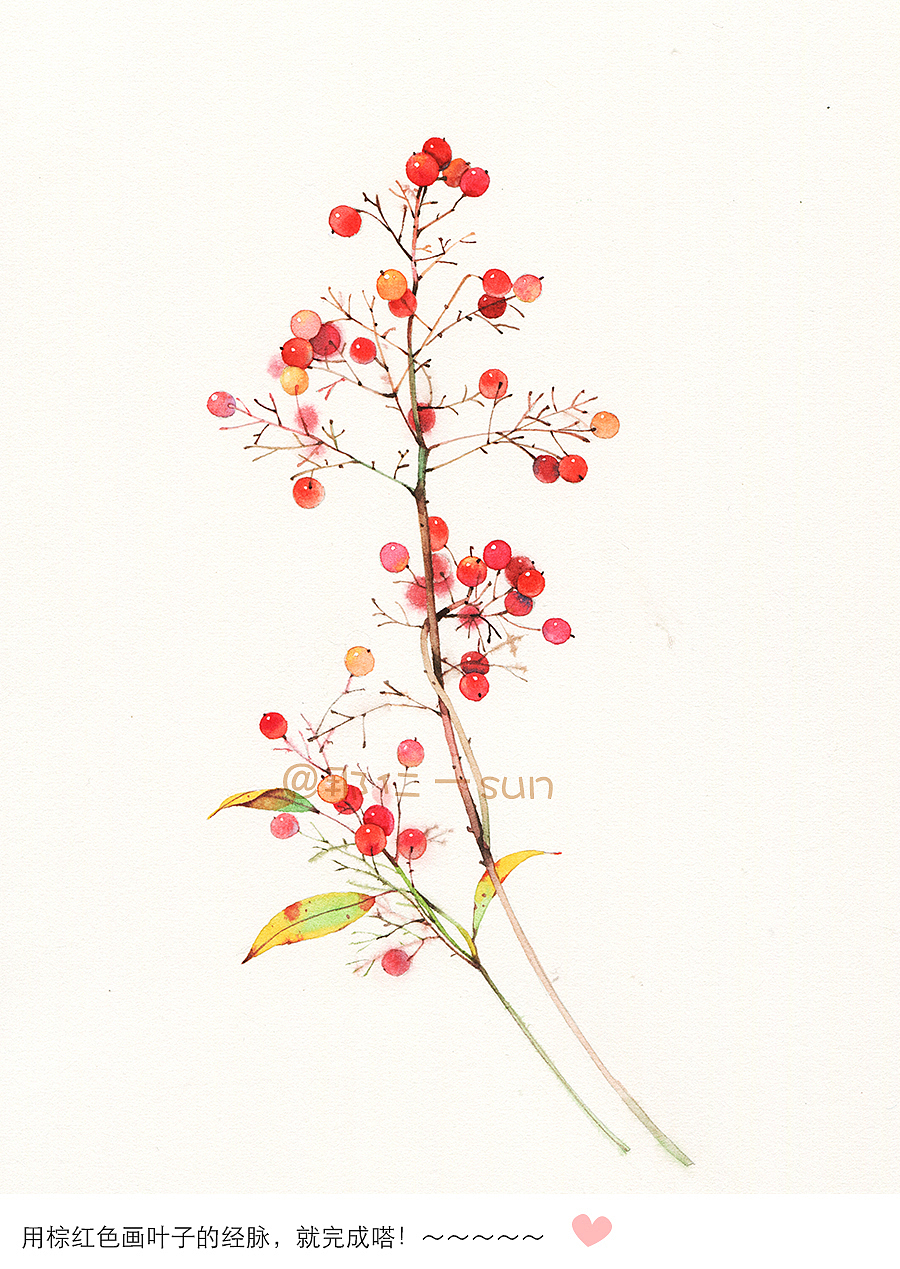 那仁水彩教程书籍之南天竹——图文详解