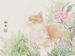 花鸟