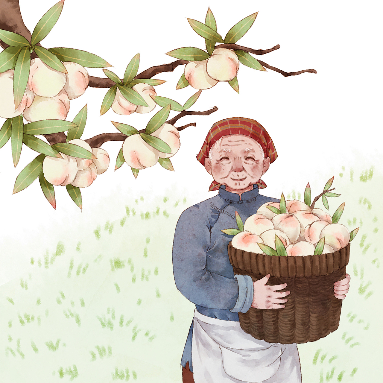 冰花罐头标签/包装/网页/摄影设计