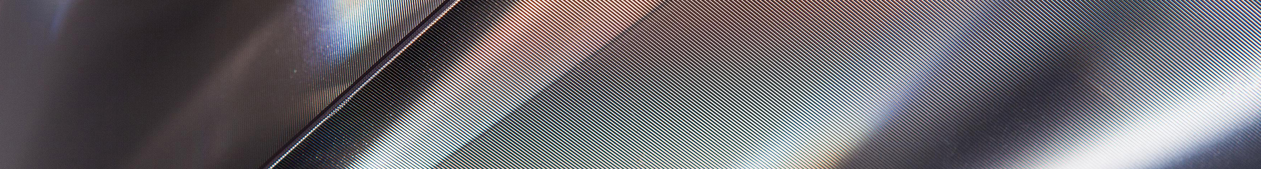 王有肉的个人主页（封面预览） - 主页封面设置 - 站酷设计师王有肉原创素材 - 站酷ZCOOL