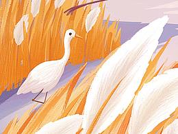 二十四節(jié)氣——白露