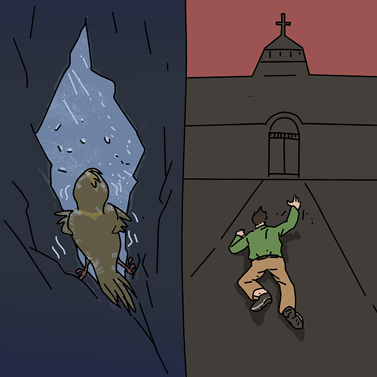 一只鸟的悲惨故事