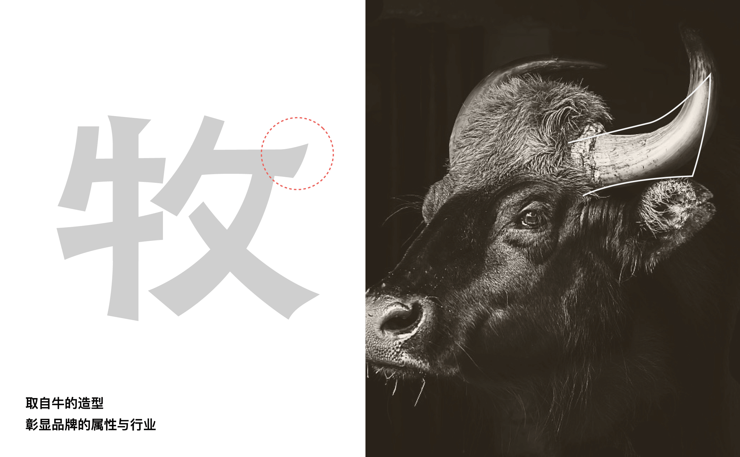 华牛牧场 | ABD案例(图ZMzQ3NDUwMDg0) - 品牌 - 站酷设计师ABD品牌策略设计原创素材 - 站酷ZCOOL