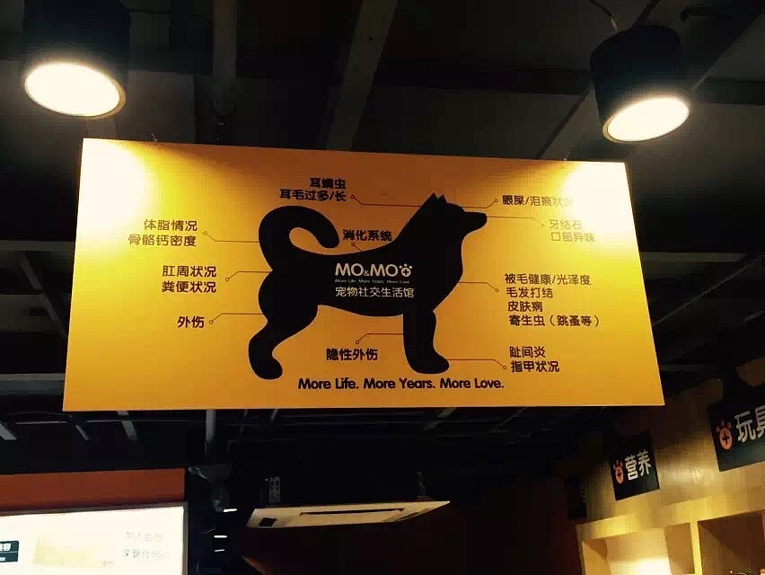 MOMO宠物店完工照-成都宠物店设计|工业风宠物店装修