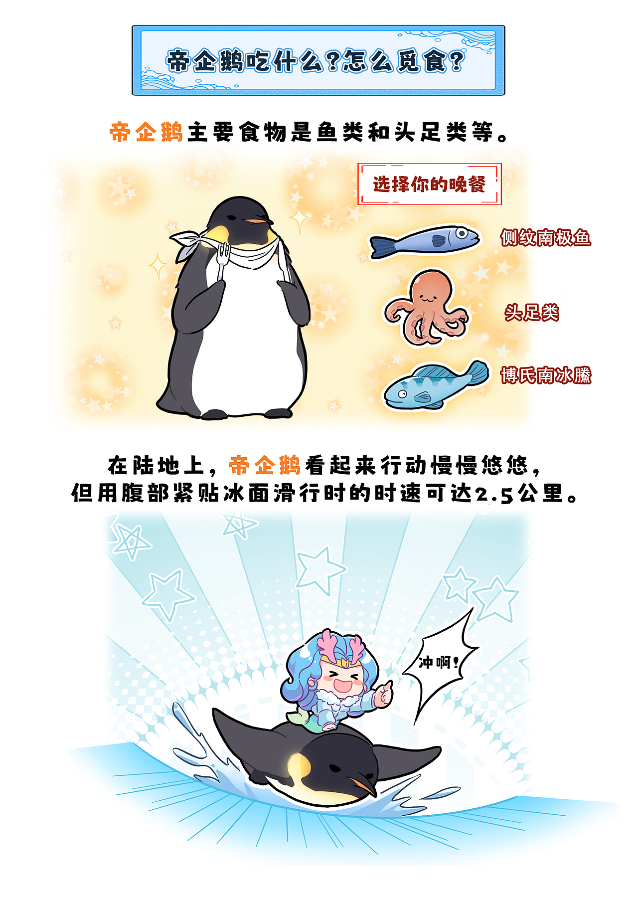 南极贵族 王者风范