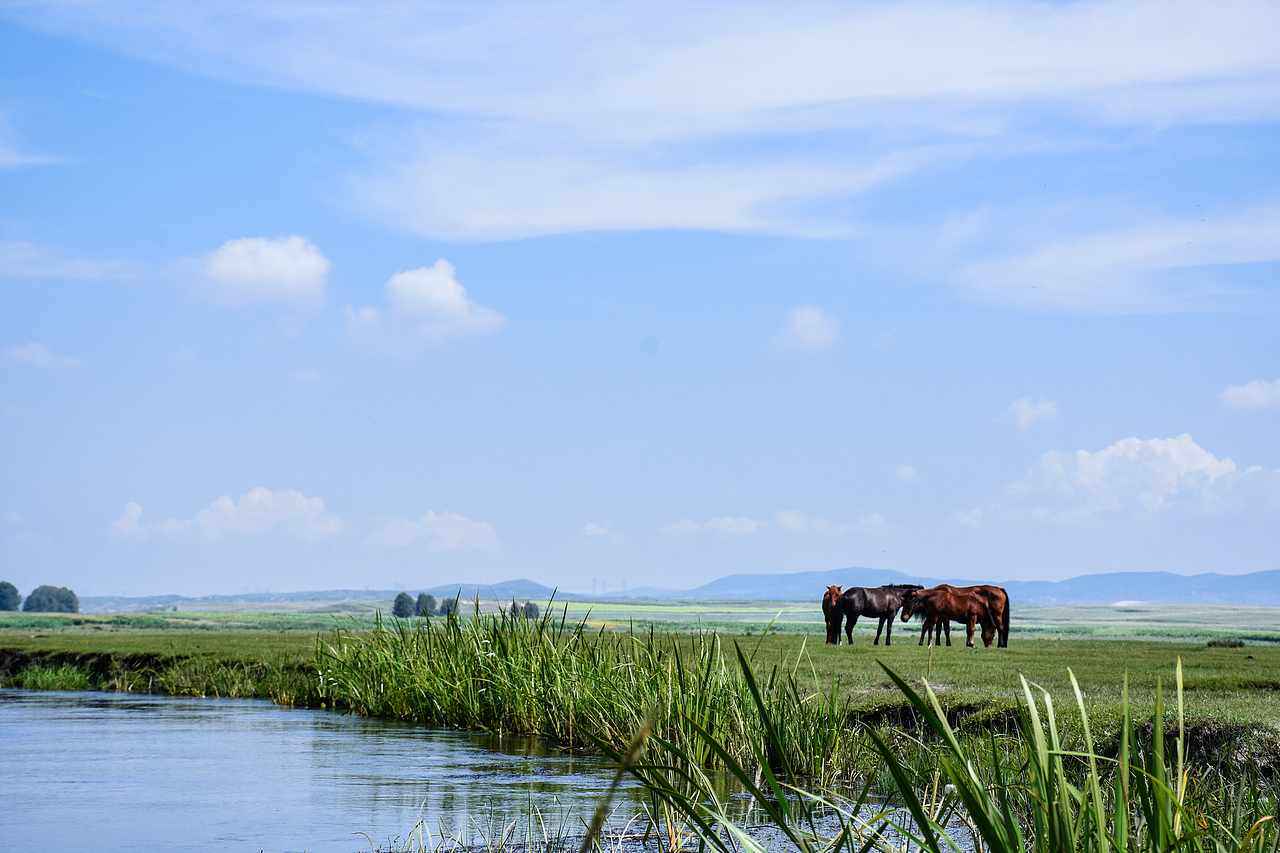 风景拍摄（图ZMjIxNTY1MTc2） - 风光摄影 - 站酷设计师DTian__原创素材 - 站酷ZCOOL