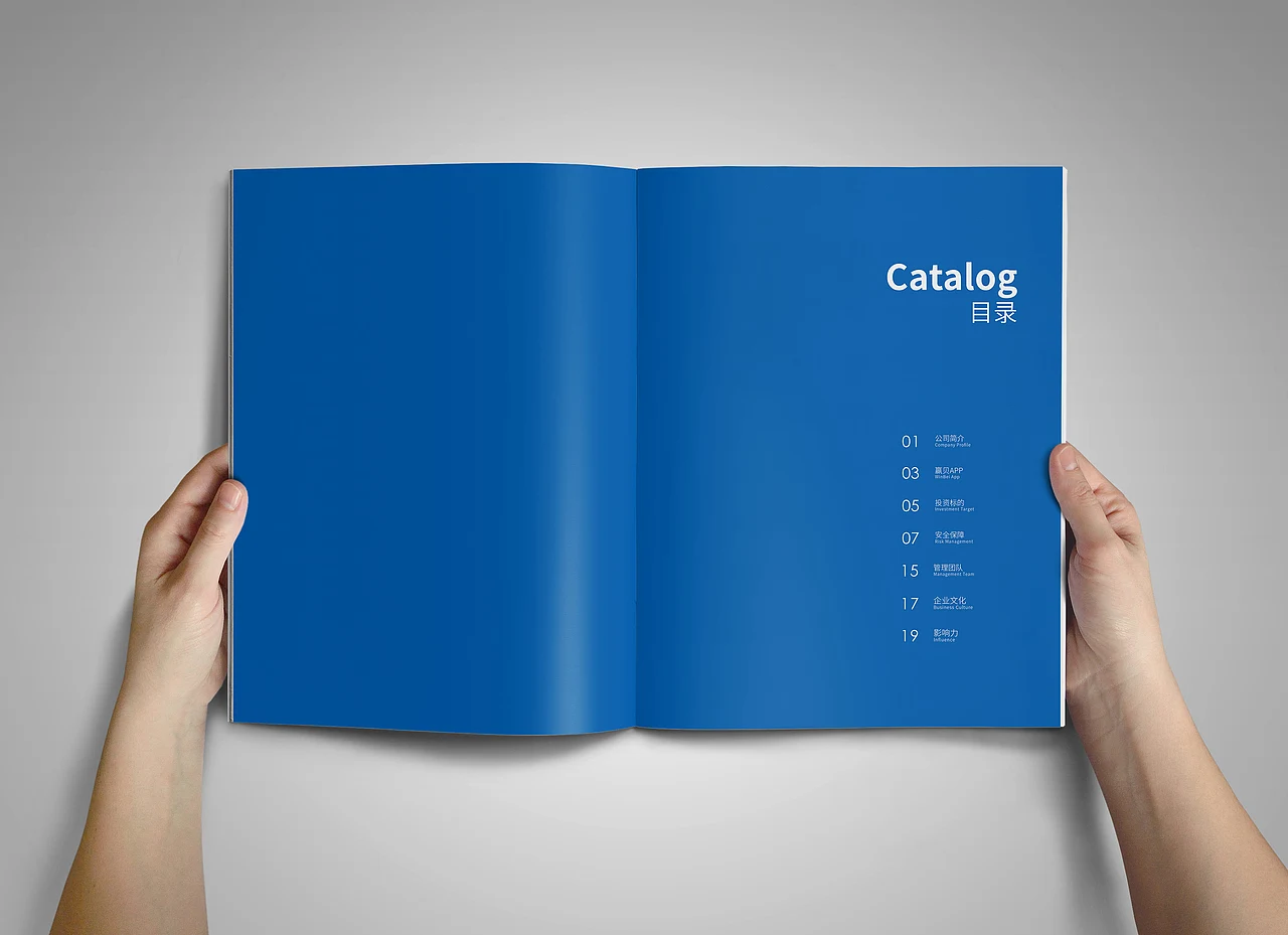 金融类企业画册