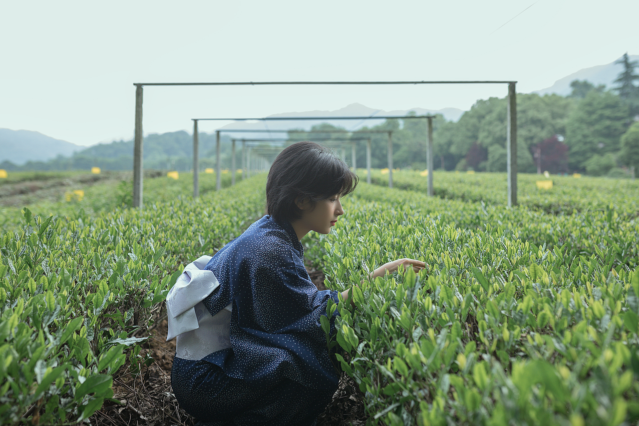 森（图ZMTYwMzQ4OTEy） - 人像摄影 - 站酷设计师野犬七原创素材 - 站酷ZCOOL