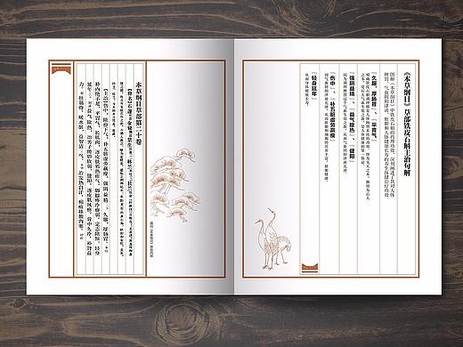 铁皮石斛公司的宣传册