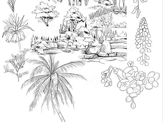 一些植物、园林练习（个人主页-ZNTMxNzk5MDQ=） - 艺术插画 - 站酷设计师阿奎那原创素材 - 站酷ZCOOL