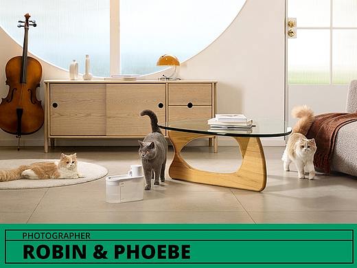 宠物用品拍摄 I Boqii x Robin&Phoebe  