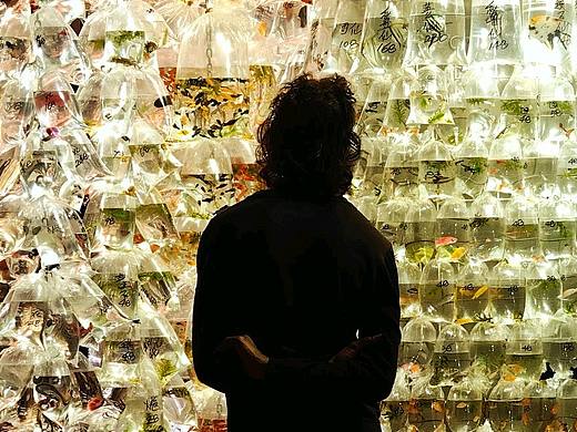 明暗之间，​拾色咫尺