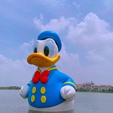 你与氧气的头像