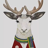 DeerSee鹿见的头像