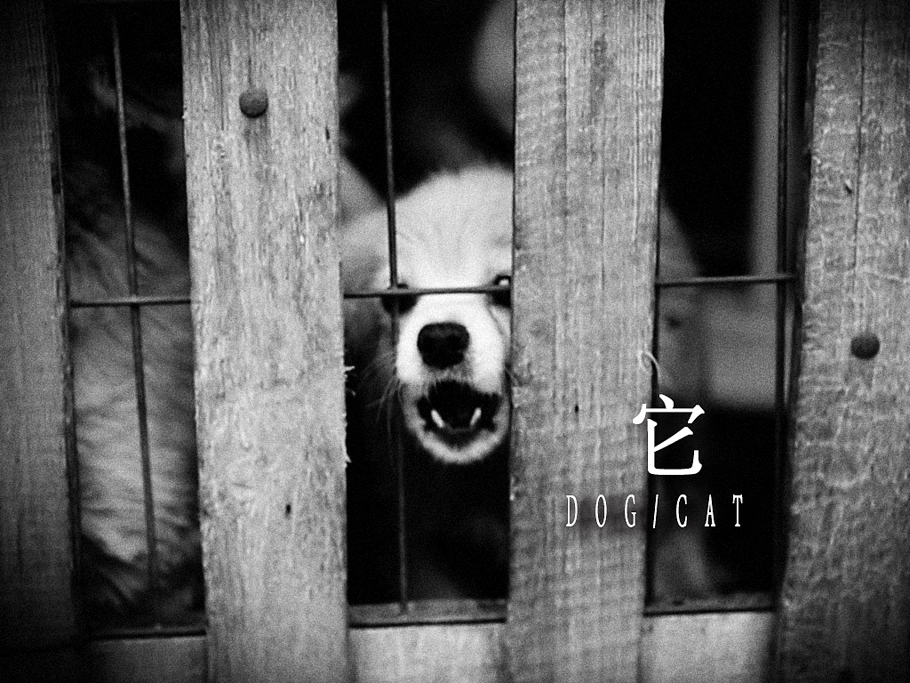 它（图ZMjEwNzk5NTY=） - 短片 - 站酷设计师RainbowJin原创素材 - 站酷ZCOOL