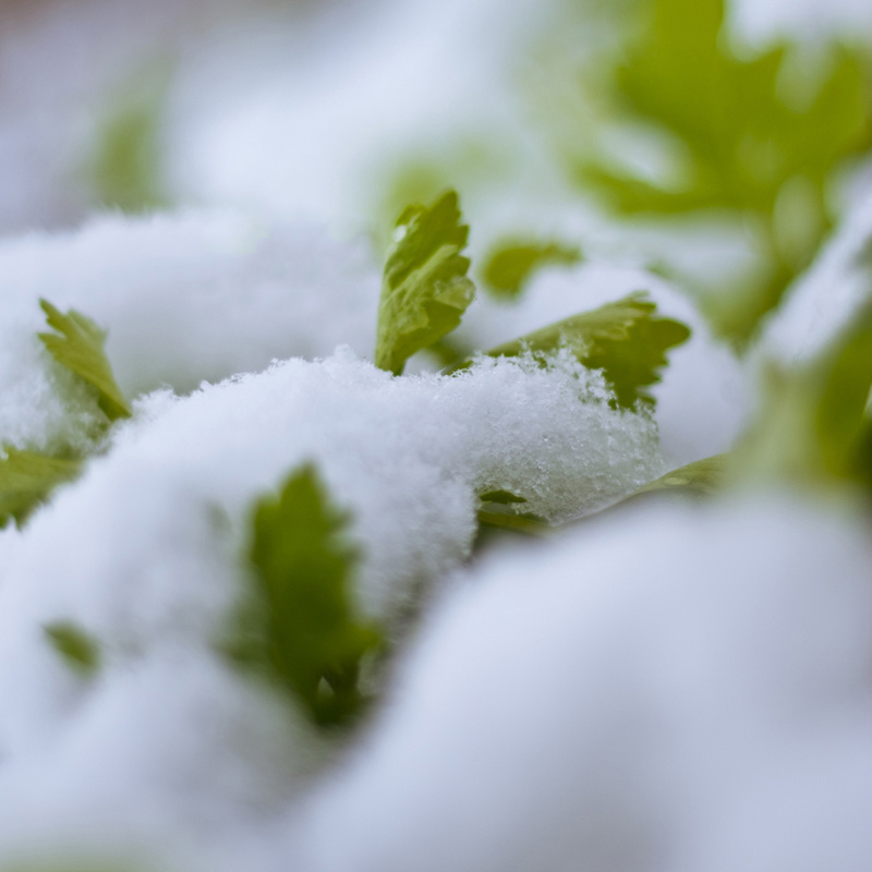 蜜桃姝的個人主頁（封面預覽） - 主頁封面設(shè)置 - 站酷設(shè)計師蜜桃姝原創(chuàng)素材 - 站酷ZCOOL