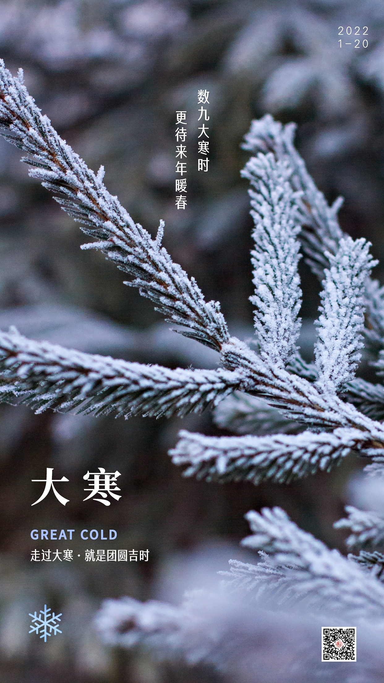 大寒图片大寒海报