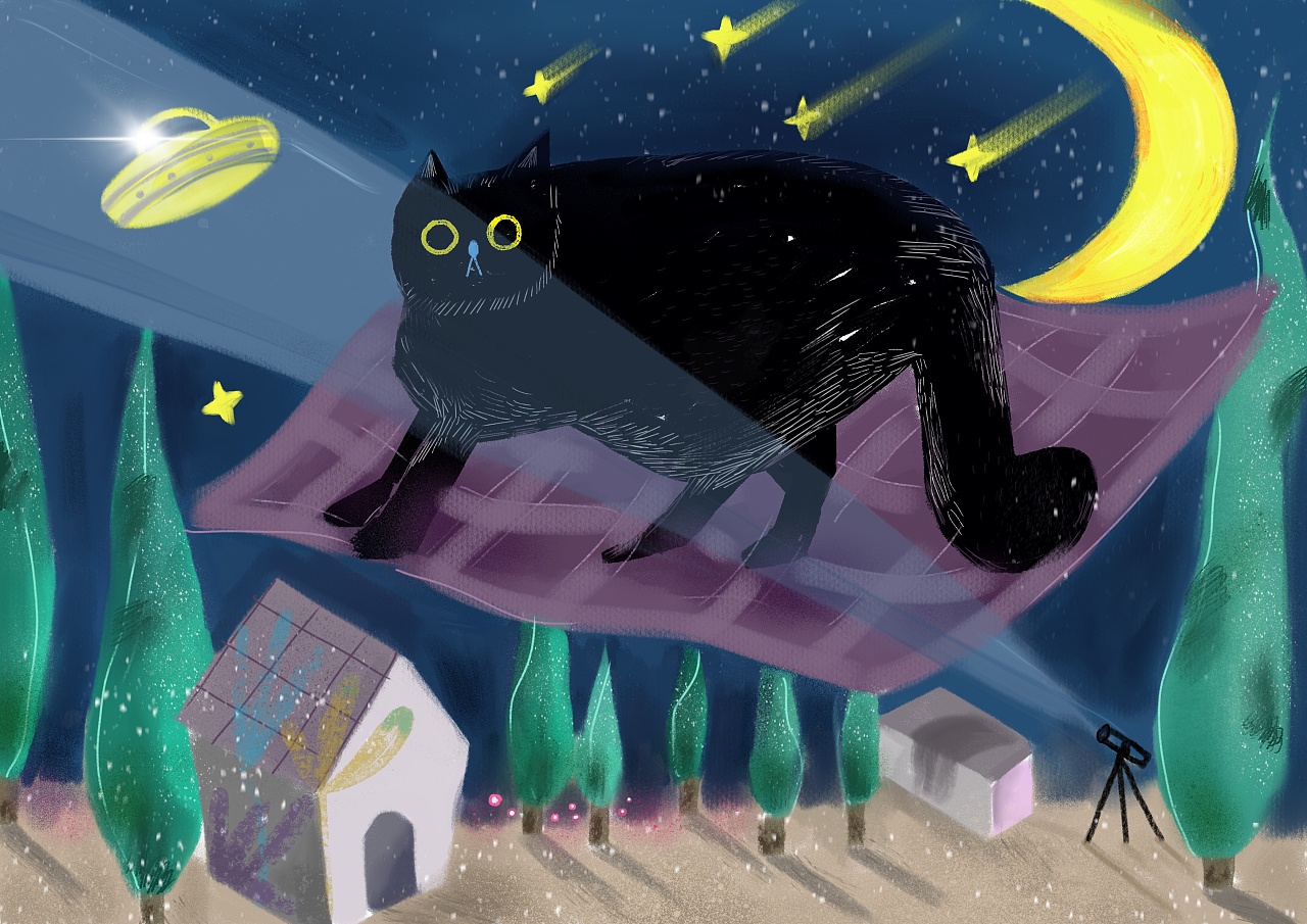 神秘黑猫的白日梦