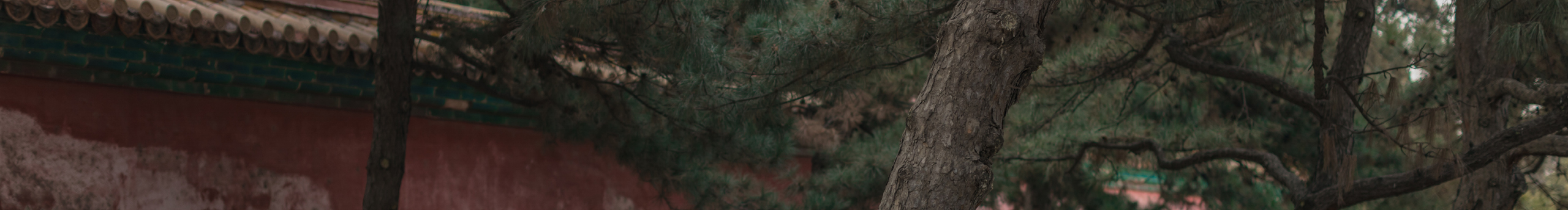 宜嘉空间设计杨辅的个人主页（封面预览） - 主页封面设置 - 站酷设计师宜嘉空间设计杨辅原创素材 - 站酷ZCOOL