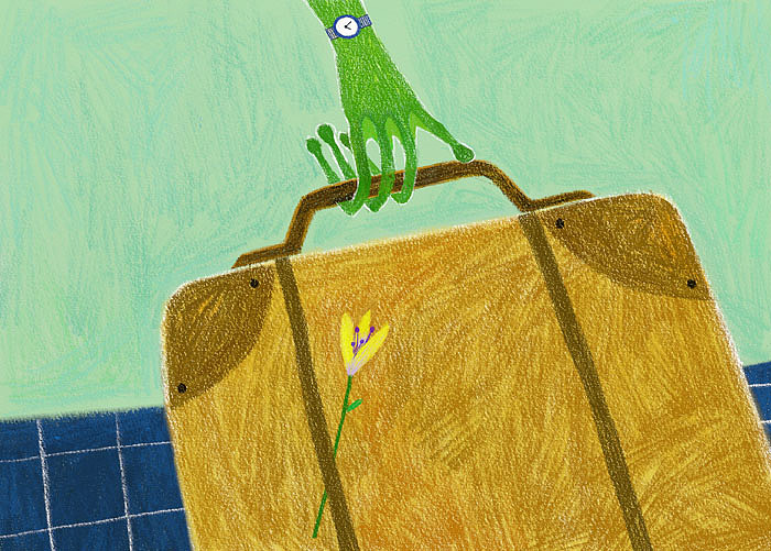 《青蛙爸爸的行李箱》