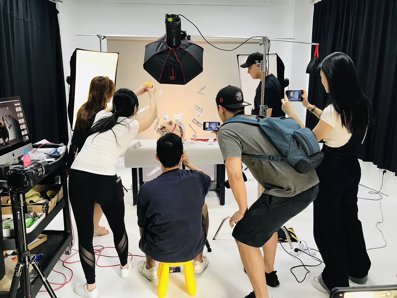 #拍汪黨 For Sparkpaws 狗帶產(chǎn)品拍攝（圖ZMTY2MDA5MzAw） - 寵物攝影 - 站酷設(shè)計師Xen和Sendoh原創(chuàng)素材 - 站酷ZCOOL