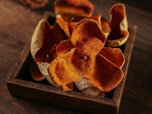 中怀新会陈皮_素材网站_图片免费下载-zcool站酷