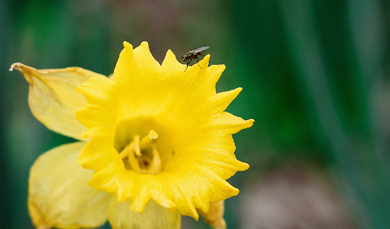 给你点儿color see see（图ZMTUxOTgwODY0） - 风光摄影 - 站酷设计师小獭原创素材 - 站酷ZCOOL