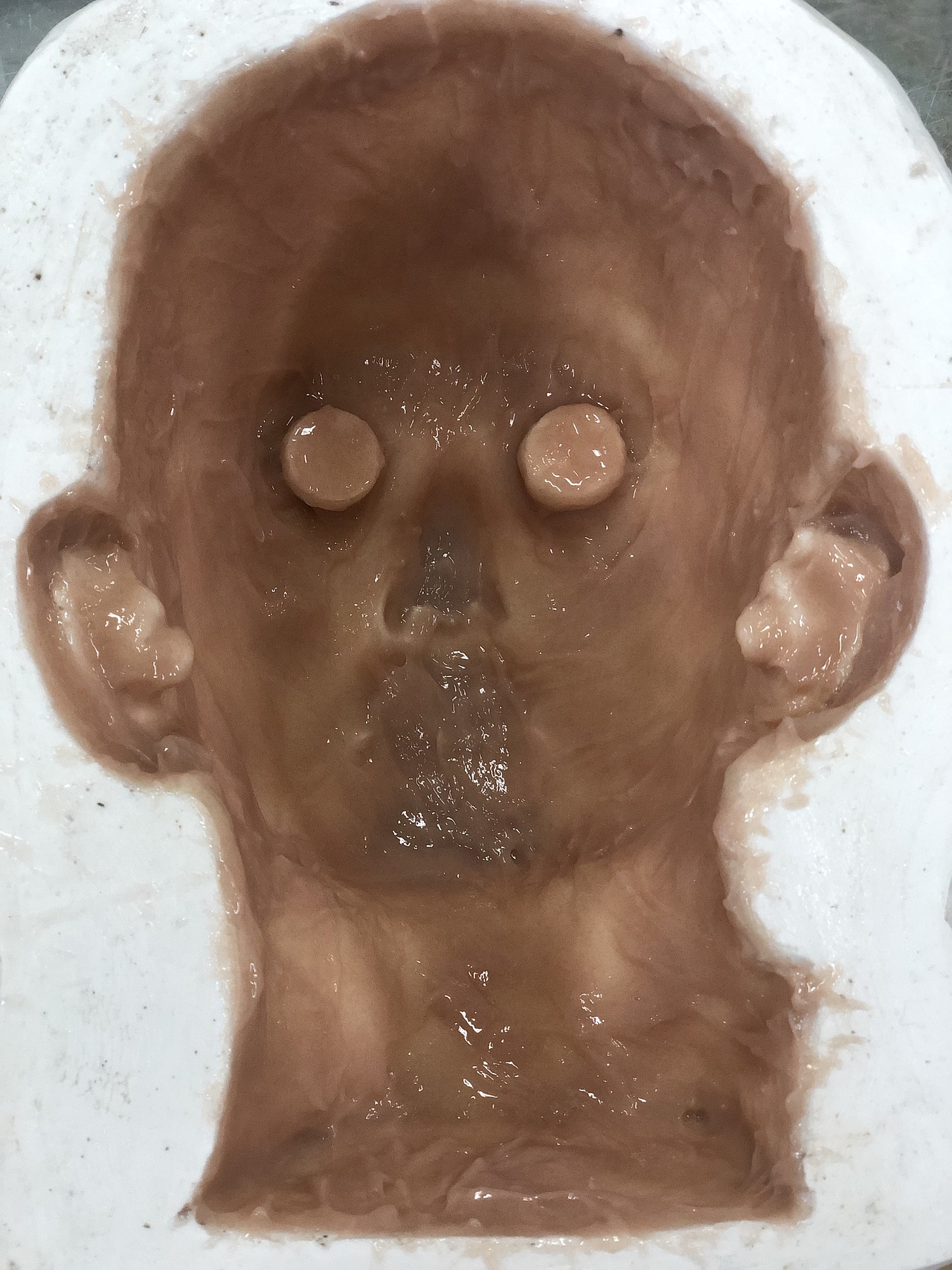 真人1:1硅胶头部制作（图ZMjM4MTYwODky） - 其他影视 - 站酷设计师野生的鱼头出现原创素材 - 站酷ZCOOL