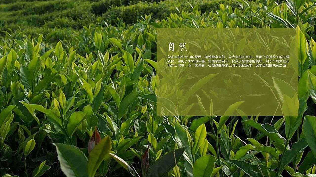 产后标志设计提案（图ZOTE1NzQ2MjQ=） - 品牌 - 站酷设计师苞谷one原创素材 - 站酷ZCOOL