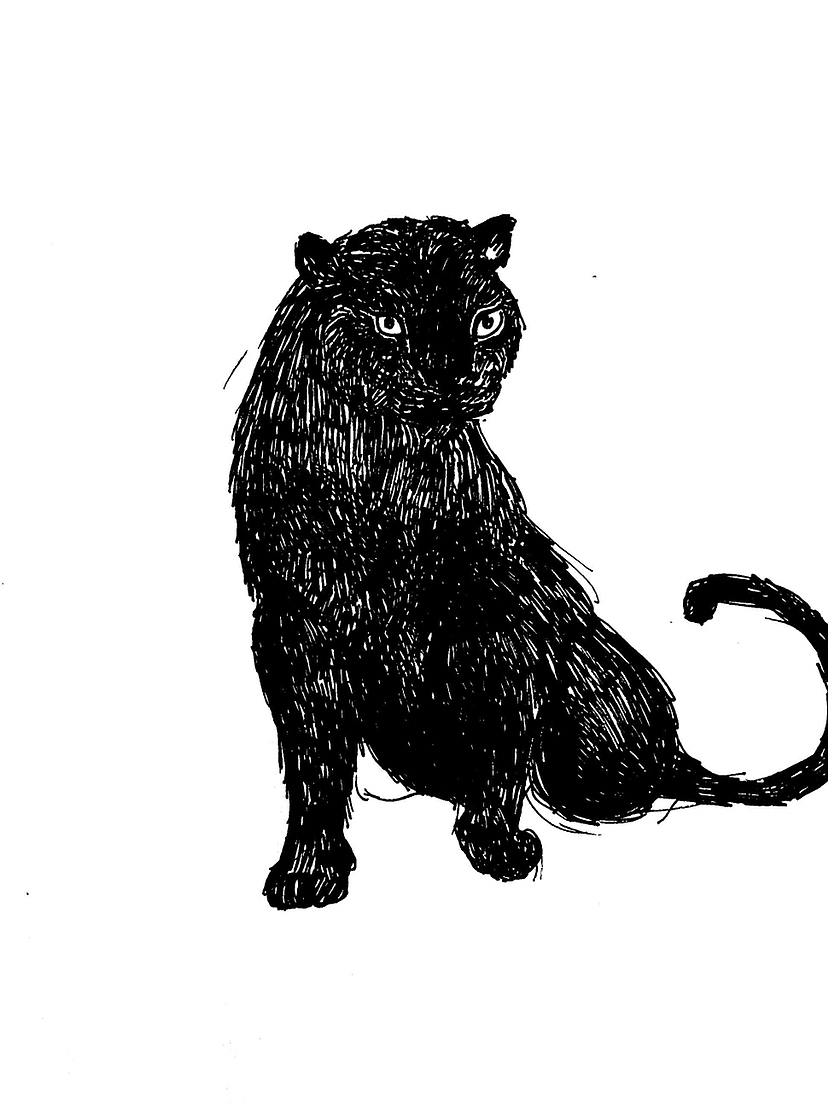 小朋友根据沈石溪的动物小说《牧羊豹》创作的漫画。（图ZMzIyNTY5ODcy） - 短篇/格漫 - 站酷设计师Z897086683原创素材 - 站酷ZCOOL