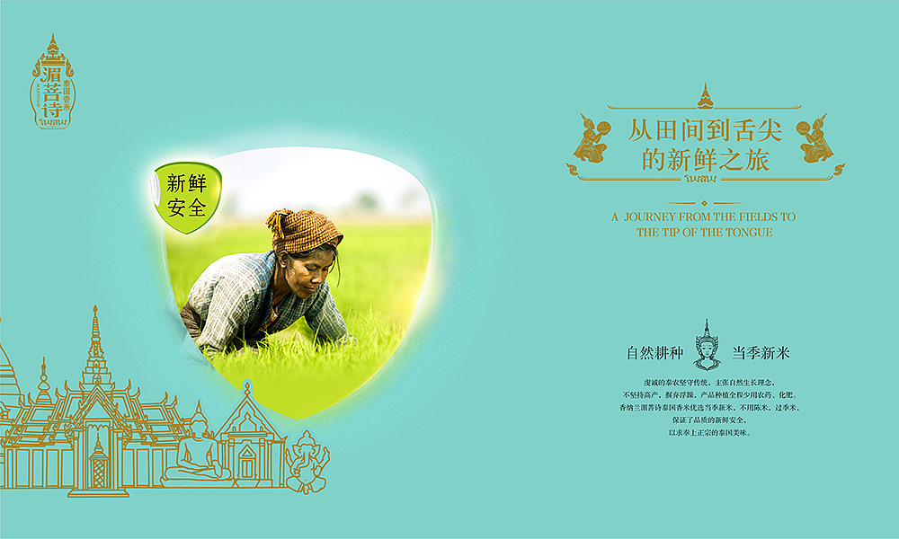 包装设计--深圳奇之意新作 香纳兰 湄菩诗泰国香米（图ZMTIyMTQ1NDc2） - 包装 - 站酷设计师奇之意品牌原创素材 - 站酷ZCOOL