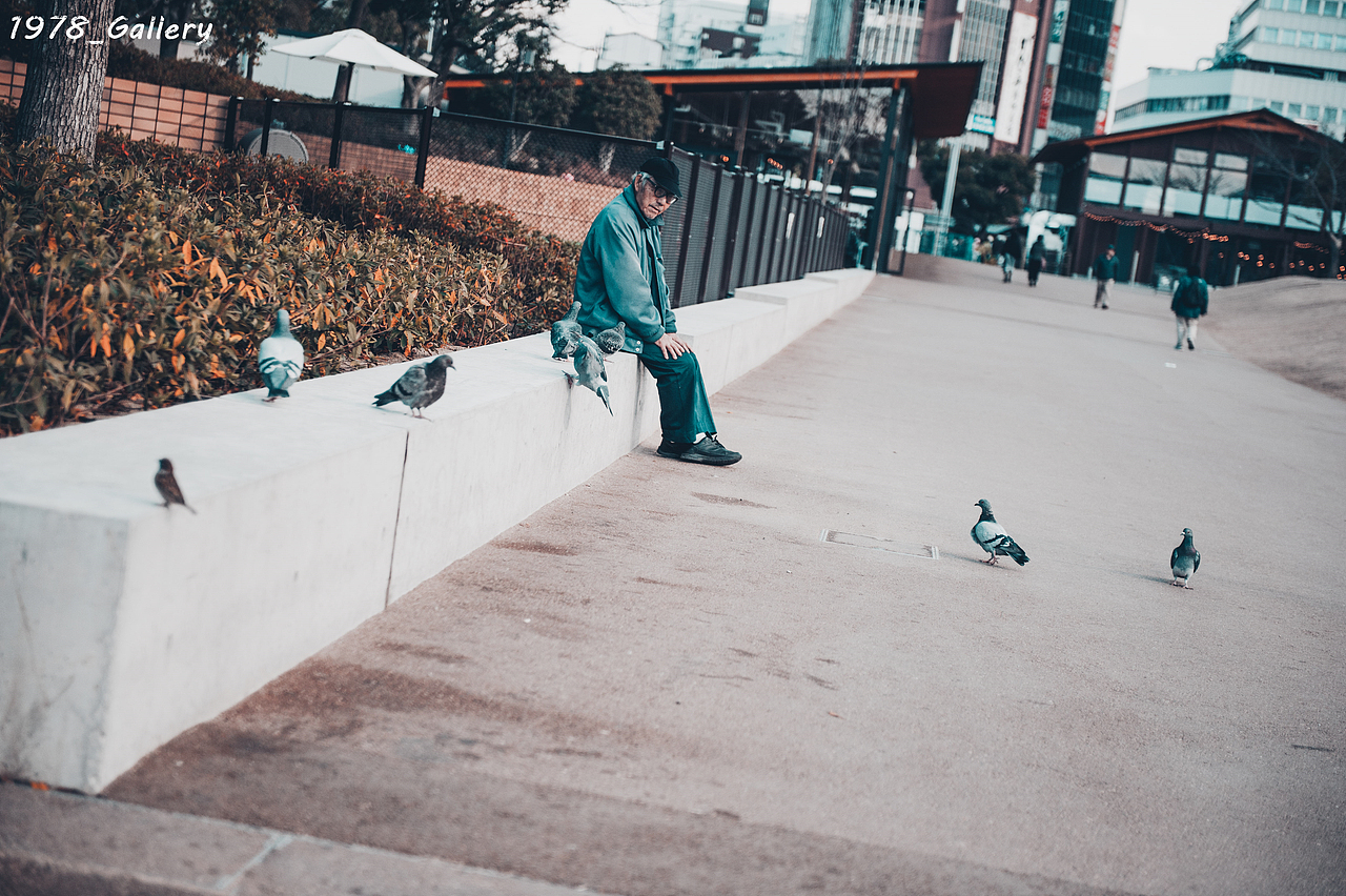 行旅日本（图ZNDI1MjIzNDQ=） - 风光摄影 - 站酷设计师1978_Gallery原创素材 - 站酷ZCOOL