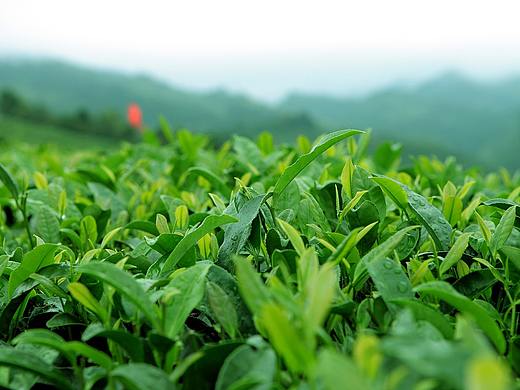 网页设计（个人主页-ZNDkxMTI4MTY=） - 其他网页 - 站酷设计师阿希来啦原创素材 - 站酷ZCOOL